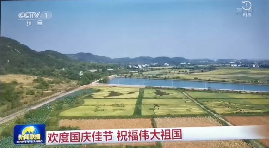 上央视-壹号娱乐五彩稻田画，助力乡村振兴